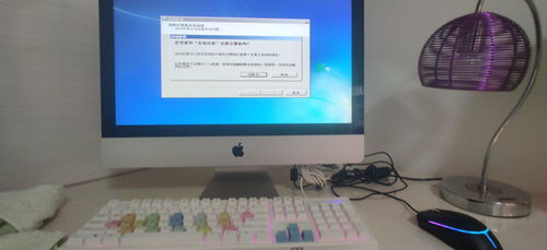 苹果电脑还原设置后鼠标消失的应急解决方案